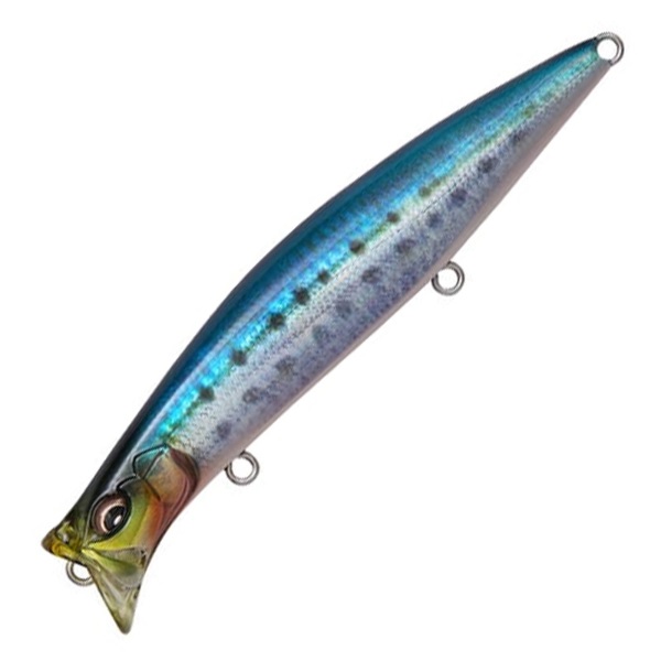 KIRINJI 120(FA イワシ)